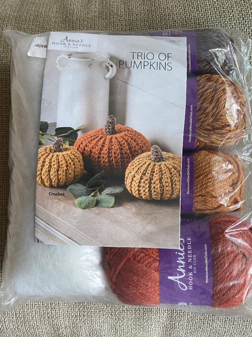 Annie's Hook & Needle Club Trio of Pumpkins Crochet Kit HNK105 Fall Decor New